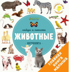 Local cover image